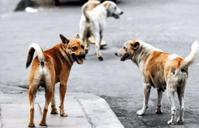 Дизайн без названия (2)