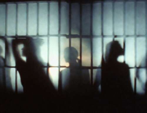 The database of the project “If There Were No War” contains 1,461 women persecuted by the Russian authorities