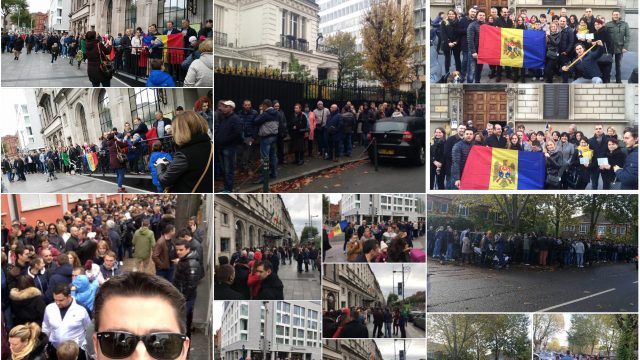 Vibori20161311