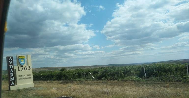 Image004